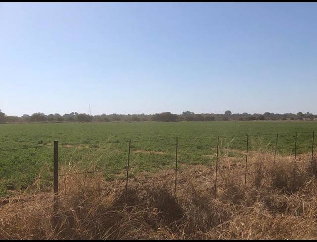 FARM FOR SALE IN THABAZIMBI
